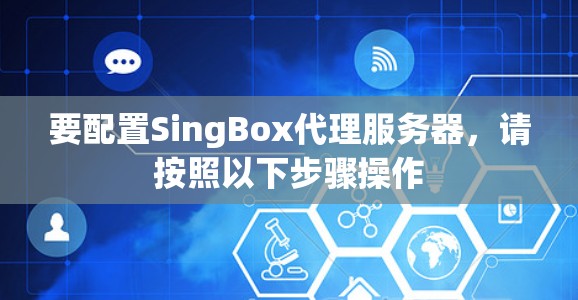 要配置SingBox代理服务器,请按照以下步骤操作