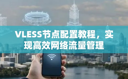 VLESS节点配置教程，实现高效网络流量管理