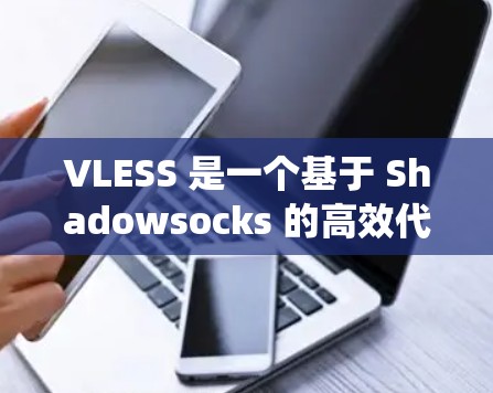 VLESS 是一个基于 Shadowsocks 的高效代理工具，用于绕过网络限制。以下是配置 VLESS 服务器的基本步骤和内容