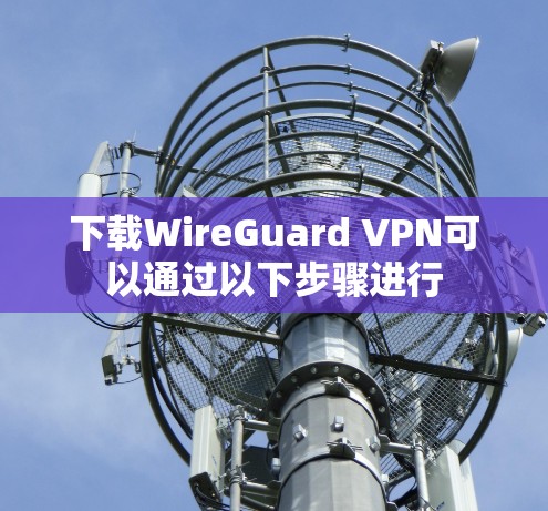 下载WireGuard VPN可以通过以下步骤进行