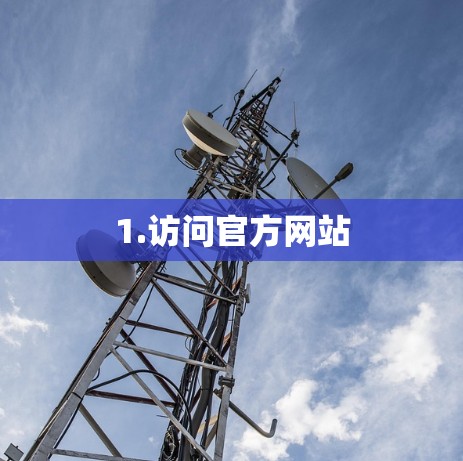1.访问官方网站