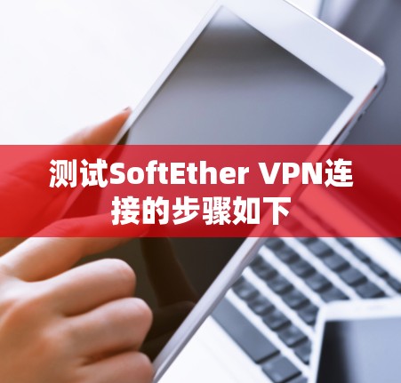 测试SoftEther VPN连接的步骤如下