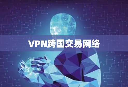 VPN跨国交易网络