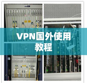 VPN国外使用教程