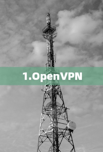 1.OpenVPN