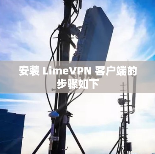 安装 LimeVPN 客户端的步骤如下