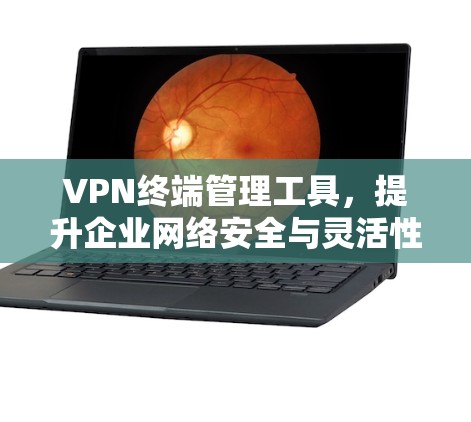 VPN终端管理工具,提升企业网络安全与灵活性