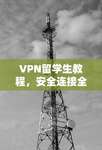 VPN留学生教程,安全连接全球网络