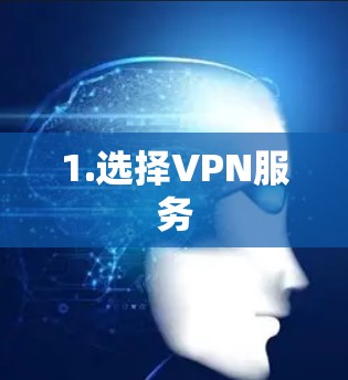1.选择VPN服务
