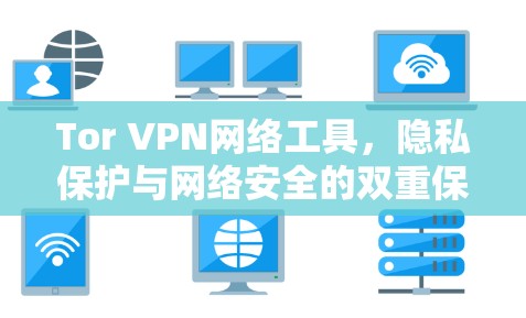 Tor VPN网络工具,隐私保护与网络安全的双重保障