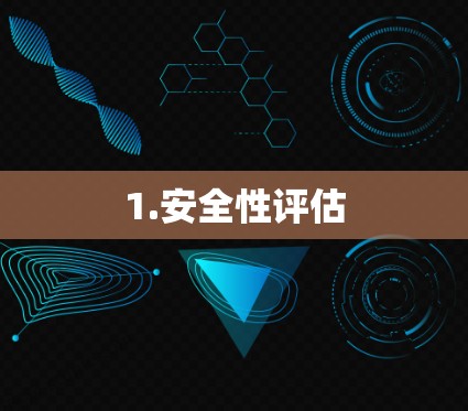 1.安全性评估