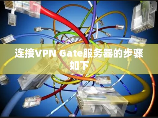 连接VPN Gate服务器的步骤如下