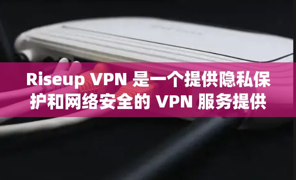 Riseup VPN 是一个提供隐私保护和网络安全的 VPN 服务提供商。以下是使用 Riseup VPN 在电脑上的基本步骤