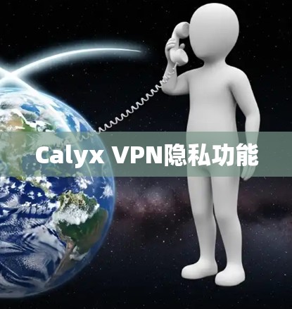 Calyx VPN隐私功能