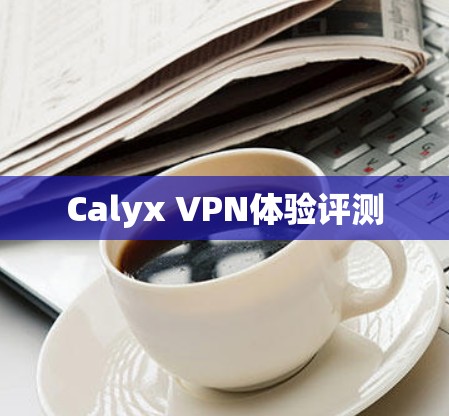 Calyx VPN体验评测