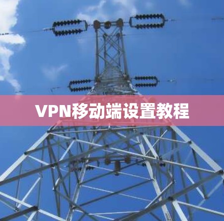 VPN移动端设置教程