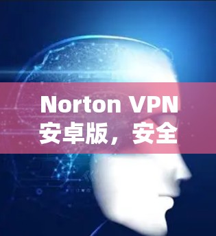 Norton VPN安卓版，安全连接的无缝体验