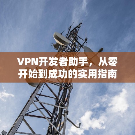 VPN开发者助手,从零开始到成功的实用指南
