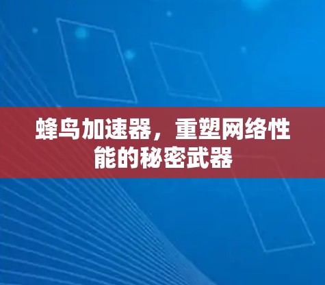蜂鸟加速器,重塑网络性能的秘密武器