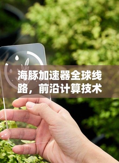 海豚加速器全球线路,前沿计算技术的全球联动 海豚加速器全球线路,前沿计算技术的全球联动