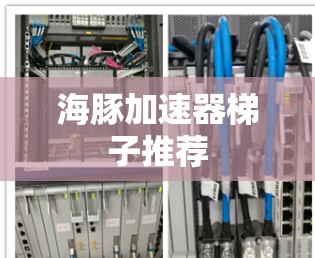 海豚加速器梯子推荐 海豚加速器梯子推荐