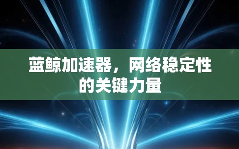 蓝鲸加速器，网络稳定性的关键力量