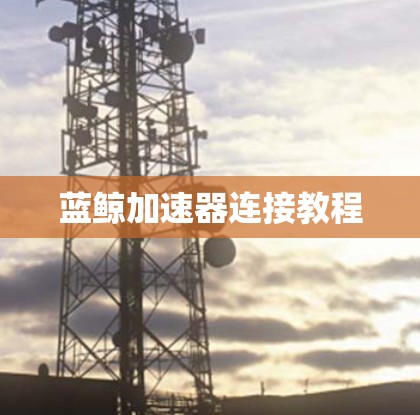 蓝鲸加速器连接教程 蓝鲸加速器连接教程