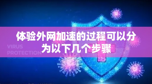 体验外网加速的过程可以分为以下几个步骤