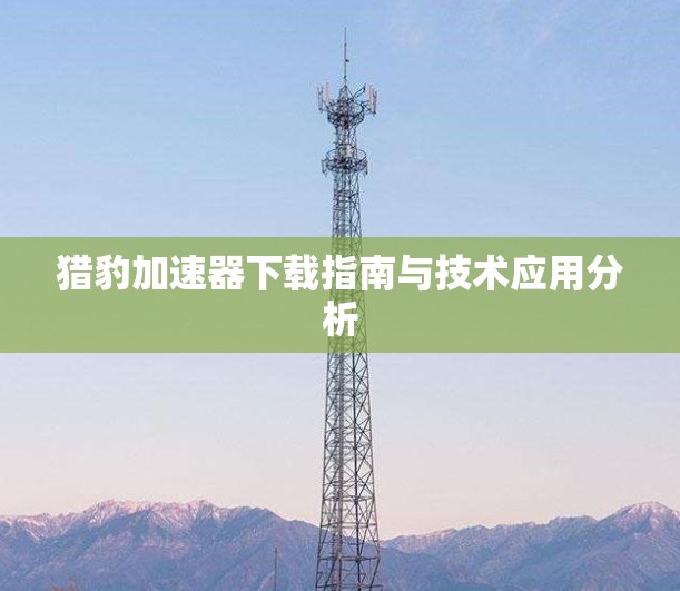 猎豹加速器下载指南与技术应用分析