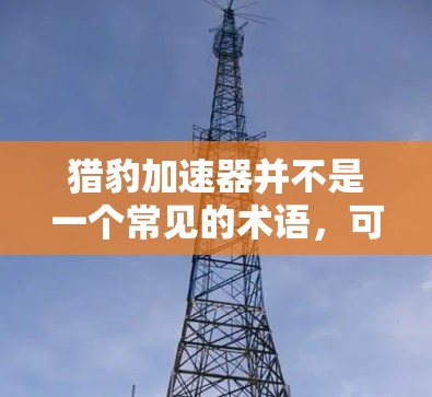 猎豹加速器并不是一个常见的术语,可能是指某种特定的加速器装置或设备。如果你指的是物理学中的加速器,以下是一些相关信息