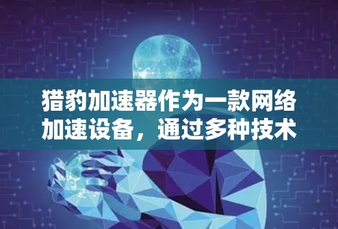猎豹加速器作为一款网络加速设备，通过多种技术手段优化数据传输，提升企业网络性能。以下是对其工作原理和技术细节的详细总结