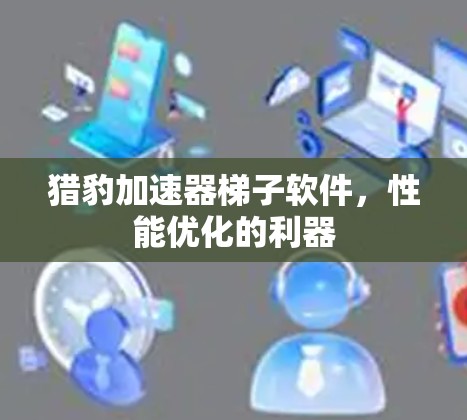 猎豹加速器梯子软件，性能优化的利器