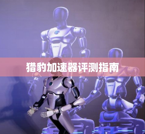 猎豹加速器评测指南 猎豹加速器评测指南