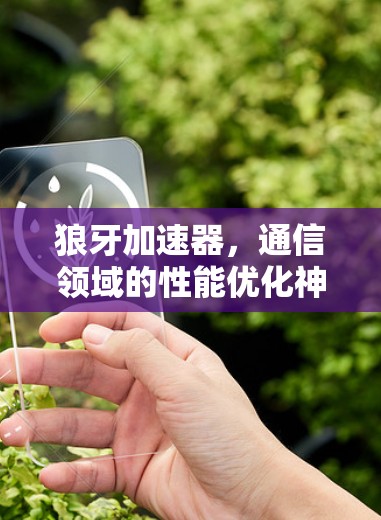 狼牙加速器,通信领域的性能优化神器 狼牙加速器,通信领域的性能优化神器