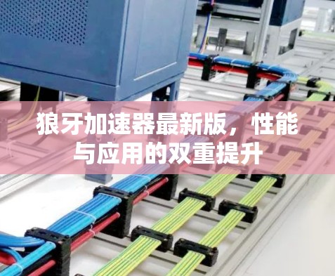 狼牙加速器最新版，性能与应用的双重提升