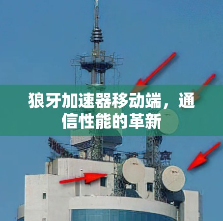 狼牙加速器移动端,通信性能的革新 狼牙加速器移动端,通信性能的革新