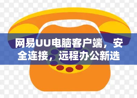 网易UU电脑客户端,安全连接,远程办公新选择