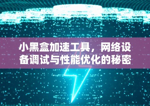 小黑盒加速工具,网络设备调试与性能优化的秘密武器