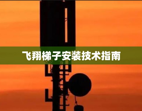 飞翔梯子安装技术指南 飞翔梯子安装技术指南