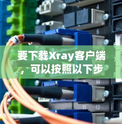 要下载Xray客户端,可以按照以下步骤操作
