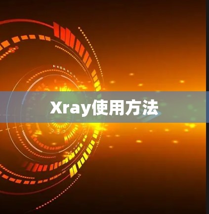 Xray使用方法
