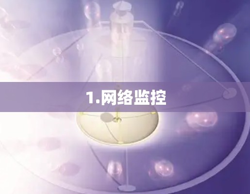 1.网络监控