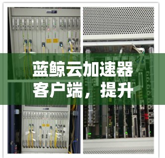 蓝鲸云加速器客户端,提升网络性能与用户体验