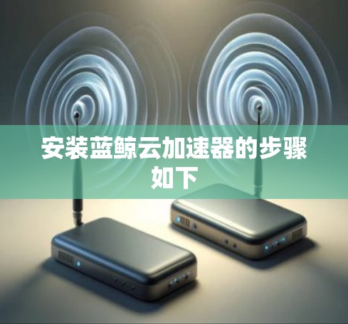 安装蓝鲸云加速器的步骤如下
