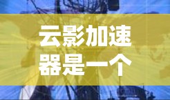 云影加速器是一个用于在云环境中优化虚拟机性能和资源利用的工具。它通过提供高效的资源管理和性能加速,帮助用户在云端快速启动和管理虚拟机,适用于开发、测试、数据处理和实时应用等多种场景