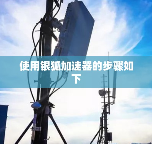 使用银狐加速器的步骤如下 使用银狐加速器的步骤如下