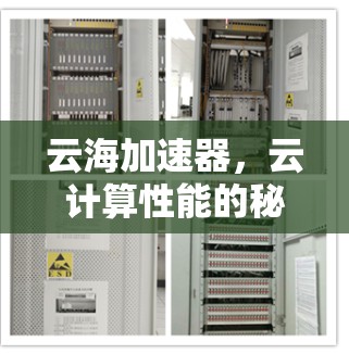 云海加速器,云计算性能的秘密武器