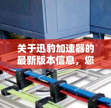 关于迅豹加速器的最新版本信息,您可以通过以下途径获取