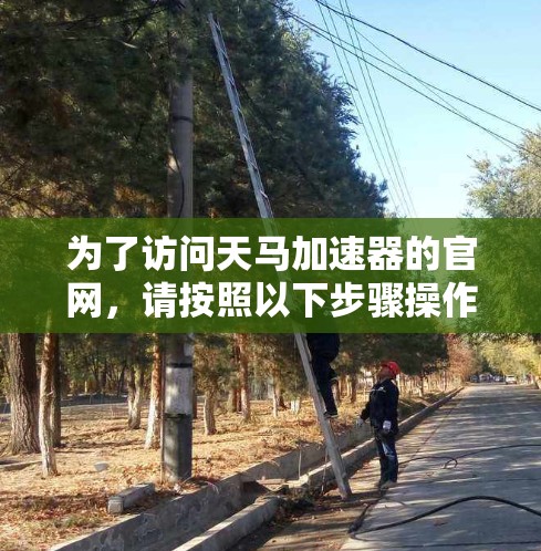 为了访问天马加速器的官网,请按照以下步骤操作