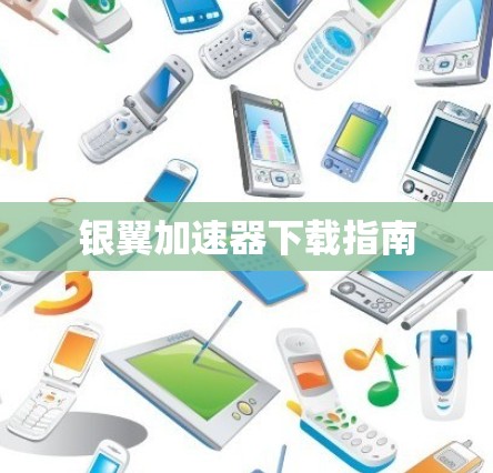 银翼加速器下载指南